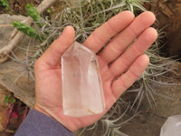 Polished Clear Quartz Crystal Points x 4 From Madagascar - TopRock