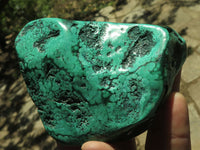 Polished Malachite Free Forms With Stunning Flower & Banding Patterns x 6 From Congo - TopRock