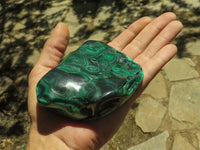 Polished Malachite Free Forms With Stunning Flower & Banding Patterns x 6 From Congo - TopRock