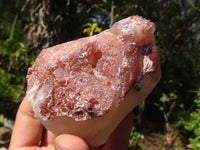 Natural Red Hematite Quartz Crystal Clusters  x 6 From Karoi, Zimbabwe - Toprock Gemstones and Minerals 