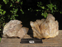 Natural Cascading White Phantom Smokey Quartz Clusters  x 2 From Luena, Congo - Toprock Gemstones and Minerals 