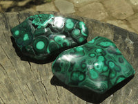 Polished Malachite Free Forms With Stunning Flower & Banding Patterns x 6 From Congo - TopRock