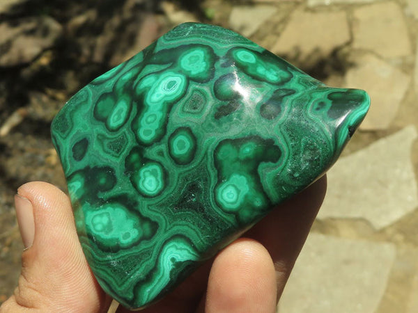 Polished Malachite Free Forms With Stunning Flower & Banding Patterns x 6 From Congo - TopRock