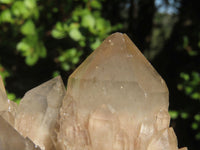 Natural Cascading White Phantom Smokey Quartz Clusters  x 2 From Luena, Congo - Toprock Gemstones and Minerals 