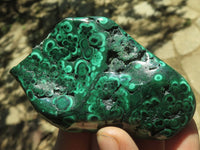 Polished Malachite Free Forms With Stunning Flower & Banding Patterns x 6 From Congo - TopRock