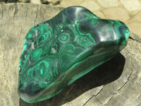 Polished Malachite Free Forms With Stunning Flower & Banding Patterns x 6 From Congo - TopRock