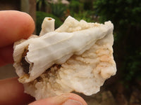 Natural Drusy Mountain Calcite & Quartz Specimens  x 12 From Alberts Mountain, Lesotho - Toprock Gemstones and Minerals 