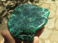 Polished Malachite Free Forms With Stunning Flower & Banding Patterns x 6 From Congo - TopRock