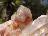 Natural Red Hematite Quartz Crystal Clusters  x 6 From Karoi, Zimbabwe - Toprock Gemstones and Minerals 