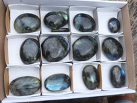 Polished Flashy Labradorite Palm Stones  x 13 From Tulear, Madagascar - TopRock