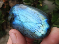 Polished Flashy Labradorite Palm Stones  x 13 From Tulear, Madagascar - TopRock