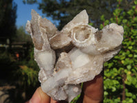 Natural Drusy Quartz Coated Fluorescent Peach Calcite Crystal Specimens  x 12 From Alberts Mountain, Lesotho - Toprock Gemstones and Minerals 