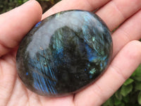 Polished Flashy Labradorite Palm Stones  x 13 From Tulear, Madagascar - TopRock