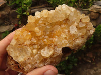 Natural Golden Limonite / Lemonite Quartz Clusters  x 12 From Zambia - Toprock Gemstones and Minerals 