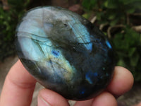 Polished Flashy Labradorite Palm Stones  x 13 From Tulear, Madagascar - TopRock