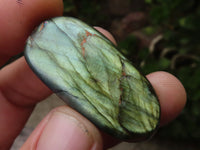 Polished Flashy Labradorite Palm Stones  x 13 From Tulear, Madagascar - TopRock