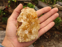 Natural Golden Limonite / Lemonite Quartz Clusters  x 12 From Zambia - Toprock Gemstones and Minerals 