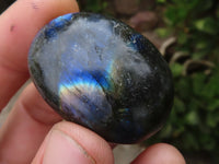 Polished Flashy Labradorite Palm Stones  x 13 From Tulear, Madagascar - TopRock