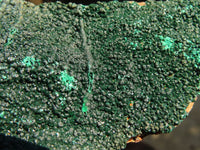 Natural Micro Botryoidal Crystalline Malachite Specimens  x 2 From Congo