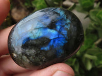 Polished Flashy Labradorite Palm Stones  x 13 From Tulear, Madagascar - TopRock