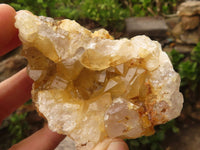 Natural Golden Limonite / Lemonite Quartz Clusters  x 12 From Zambia - Toprock Gemstones and Minerals 