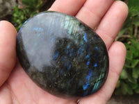 Polished Flashy Labradorite Palm Stones  x 13 From Tulear, Madagascar - TopRock