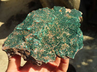 Natural Micro Botryoidal Crystalline Malachite Specimens  x 2 From Congo