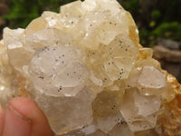 Natural Golden Limonite / Lemonite Quartz Clusters  x 12 From Zambia - Toprock Gemstones and Minerals 