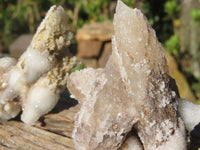 Natural Drusy Quartz Coated Fluorescent Peach Calcite Crystal Specimens  x 12 From Alberts Mountain, Lesotho - Toprock Gemstones and Minerals 