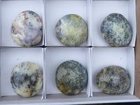 Polished Dendritic Opal Palm Stones  x 6 From Madagascar - TopRock