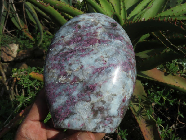 Polished Rubellite Standing Free Forms x 2 From Madagascar - TopRock