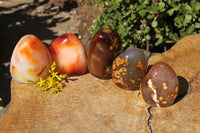 Polished Selection Of Carnelian Agate Standing Free Forms x 5 From Madagascar - TopRock