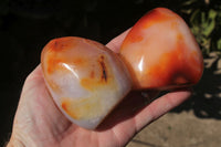 Polished Selection Of Carnelian Agate Standing Free Forms x 5 From Madagascar - TopRock