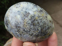 Polished Dendritic Opal Palm Stones  x 6 From Madagascar - TopRock