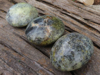 Polished Dendritic Opal Palm Stones  x 6 From Madagascar - TopRock