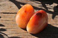 Polished Selection Of Carnelian Agate Standing Free Forms x 5 From Madagascar - TopRock