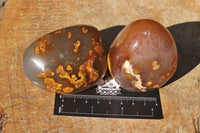 Polished Selection Of Carnelian Agate Standing Free Forms x 5 From Madagascar - TopRock