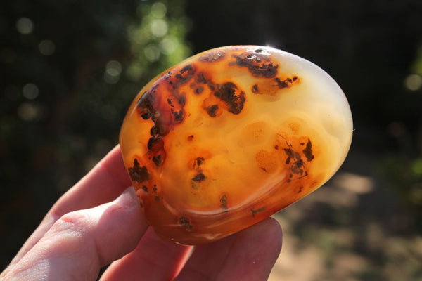 Polished Selection Of Carnelian Agate Standing Free Forms x 5 From Madagascar - TopRock