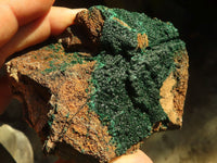 Natural Micro Botryoidal Malachite Specimens  x 6 From Congo - Toprock Gemstones and Minerals 