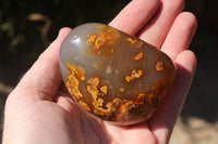 Polished Selection Of Carnelian Agate Standing Free Forms x 5 From Madagascar - TopRock