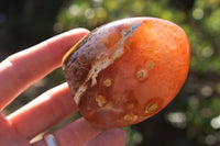 Polished Selection Of Carnelian Agate Standing Free Forms x 5 From Madagascar - TopRock