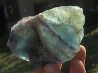 Natural Selected Watermelon Fluorite Cobbed Pieces x 7 From Uis, Namibia - TopRock