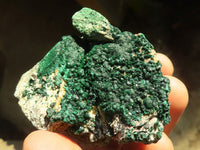 Natural Micro Botryoidal Malachite Specimens  x 6 From Congo - Toprock Gemstones and Minerals 