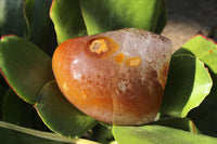 Polished Selection Of Carnelian Agate Standing Free Forms x 5 From Madagascar - TopRock