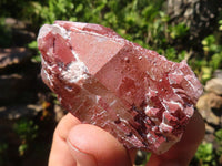 Natural Red Hematoid Phantom Quartz Clusters  x 12 From Karoi, Zimbabwe - Toprock Gemstones and Minerals 