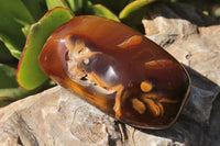 Polished Selection Of Carnelian Agate Standing Free Forms x 5 From Madagascar - TopRock