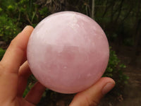 Polished Gemmy Rose Quartz Spheres  x 2 From Madagascar - Toprock Gemstones and Minerals 