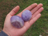 Polished Gemmy Dream Amethyst Palm Stones  x 12 From Madagascar - TopRock