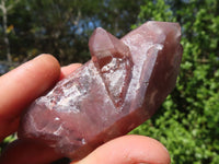 Natural Red Hematoid Phantom Quartz Clusters  x 12 From Karoi, Zimbabwe - Toprock Gemstones and Minerals 