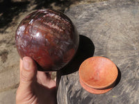 Polished Petrified Red Podocarpus Wood Sphere & Rosewood Stand  x 2 From Mahajanga, Madagascar - TopRock